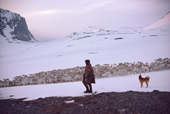 Sami herder's dog howls on command to keep migrating reindeer in a close group. Kautokeino, N.Norway. 1985