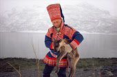 Sami reindeer herder, Aslak, with a calf born at the end of the migration. North Norway. 1985
