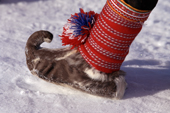 Traditional Sami shoe made from reindeer skin. Norway. 1996