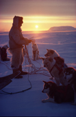 Inuit hunter, Mamarut, in the soft evening light, untangles the traces of his dog team. NW Greenland. 1980
