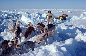 Mamarut, an Inuit hunter with dogs and sled crossing over rough sea ice, whil out on a polar bear hunt. N.W. Greenland. 1980