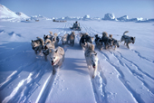 An Inuit hunter travels by dog sled, over the frozen sea ice. Northwest Greenland. 1980
