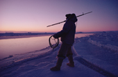 Holding a harpoon, an Inuit hunter waits by open water for a seal. N.W. Greenland. 1986