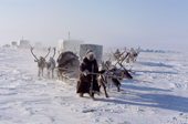A Dolgan woman leads her draft reindeer while travelling across tundra during the winter. Taymyr, Northern Siberia, Russia. 2004