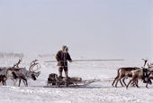 A Dolgan herder stands on his sled while driving reindeer during the winter. Taymyr, N. Siberia, Russia. 2004