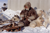 With his dogs for company, a Dolgan reindeer herder sits outside while he sharpens his knife on a stone. Taymyr, Northern Siberia, Russia. 2004