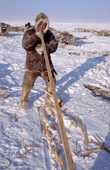 Dolgan reindeer herder, Innokentiy Zharkov, making a new 'hooray' (pole for driving reindeer). Taymyr, Northern Siberia, Russia. 2004