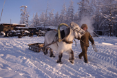 A horse & sleigh being used to collect river ice at a herders' camp at Korban. Yakutia, Siberia, Russia. 1999
