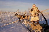 Andrei Moldanov, a Khanty reindeer herder standing on his sled. Khanty Mansiysk, W.Siberia, Russia. 2000