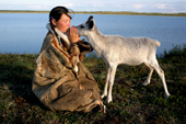 Alya, a Nenets girl, kisses one of her family's pet reindeer calves. Nadym Tundra, Yamal, Western Siberia, Russia. 2000
