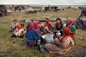 The Serotetto family, Nenets reindeer herders, have a tea break during the autumn migration south to their winter pastures. Yamal. Siberia. Russia.
