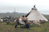 Nenets Reindeer herders camp on summer tundra by Gas drilling rig in Gazprom's Bovanenkovo field. Yamal. Western Siberia. Russia