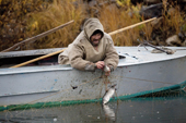 Vassilly Longortov, an elderly Khanty man, checks his fishing net for northern white fish on the Synya River. Yamal, Western Siberia, Russia