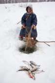 Ivan, a Selkup elder, checking his fishing net set under the ice of the Pechalka River in Krasnoselkup. Yamal, Western Siberia, Russia. (2012)