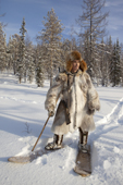 Kosta, a Selkup man, out hunting in the forest on skiis. Krasnoselkup, Yamal, Western Siberia, Russia. (2012)