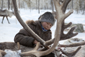 Rita Morokova, a young Selkup woman, harnessing a draft reindeer at a winter hunting camp near Ratta. Western Siberia, Yamal, Russia. (2012)