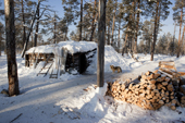 Firewood stacked outside a 'Poymot' (traditional Selkup turf hut) at a winter hunting camp in the forest near Ratta. Krasnoselkup, Yamal, Western Siberia, Russia. (2012)