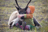 At a Nenets reindeer herders' summer camp, two year old Juliana Laptander hugs a reindeer calf. Yamal Peninsula, NW Siberia, Russia