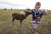 At a Nenets reindeer herders' summer camp, 5 year old Angelina Laptander, is followed by 'Timulka' her favourite Avka (pet reindeer). Yamal Peninsula, NW Siberia, Russia