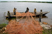 A group of Nenets fishermen, haul a fishing net into their wooden boat on the River Taz. Tazovsky region, Yamal, Northwest Siberia, Russia